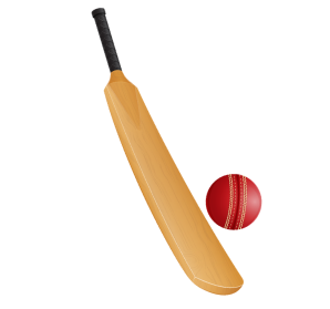 Cricket bat